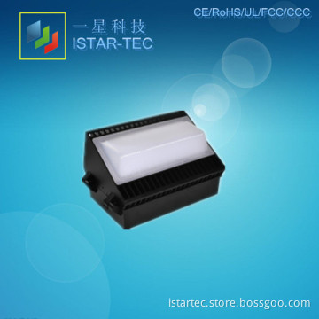 LED Wall Light (ISW-150)